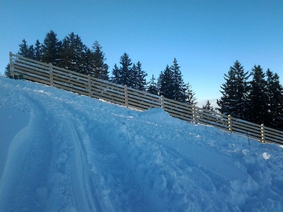 Neubau Fundamente Schneefangzäune