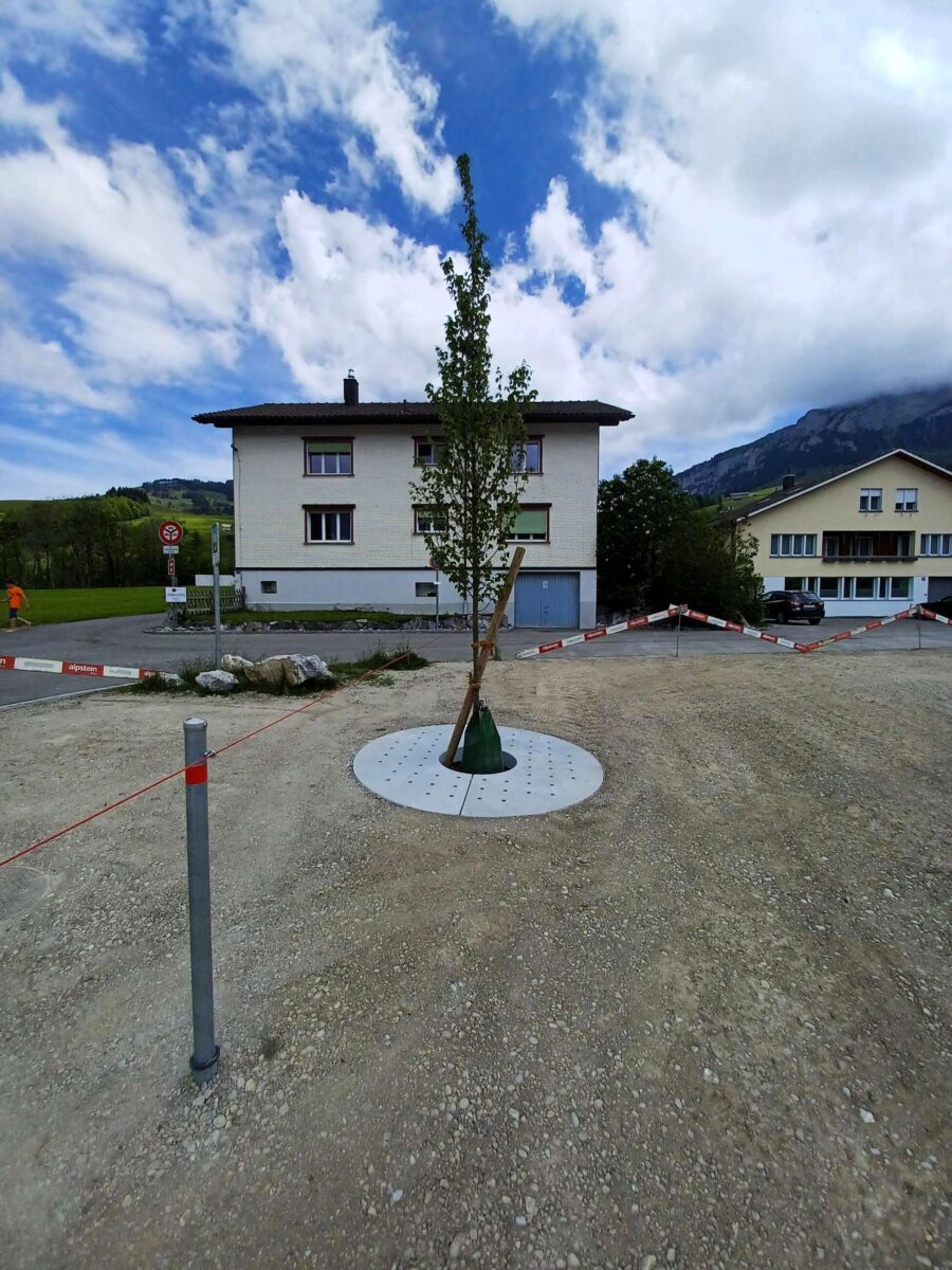 Neubau Kanalisation und Sanierung Dorfstrasse