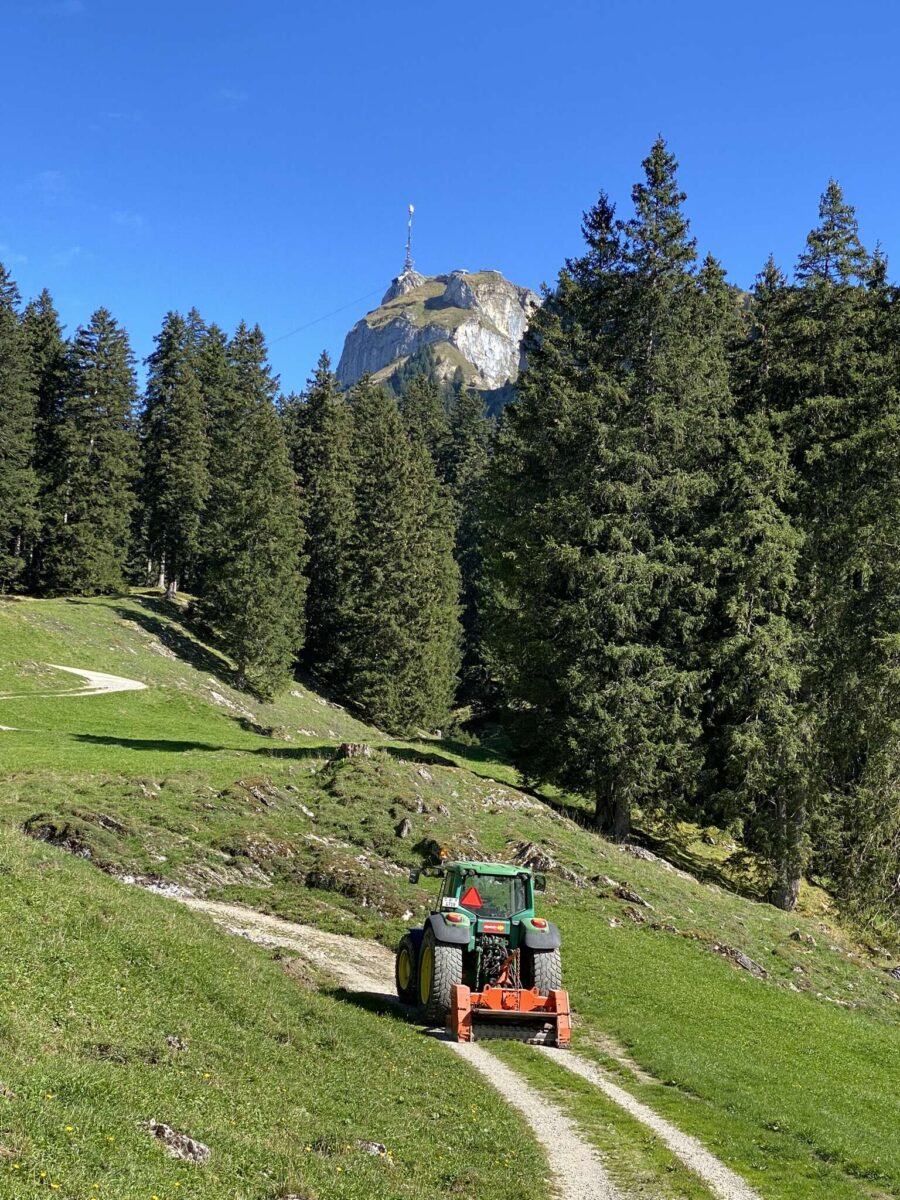 Sanierung Flurstrasse Alp Soll
