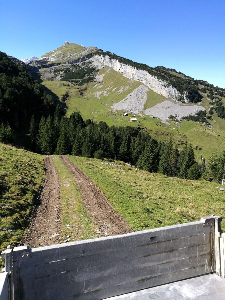 Pistenkorrektur Ebenalp