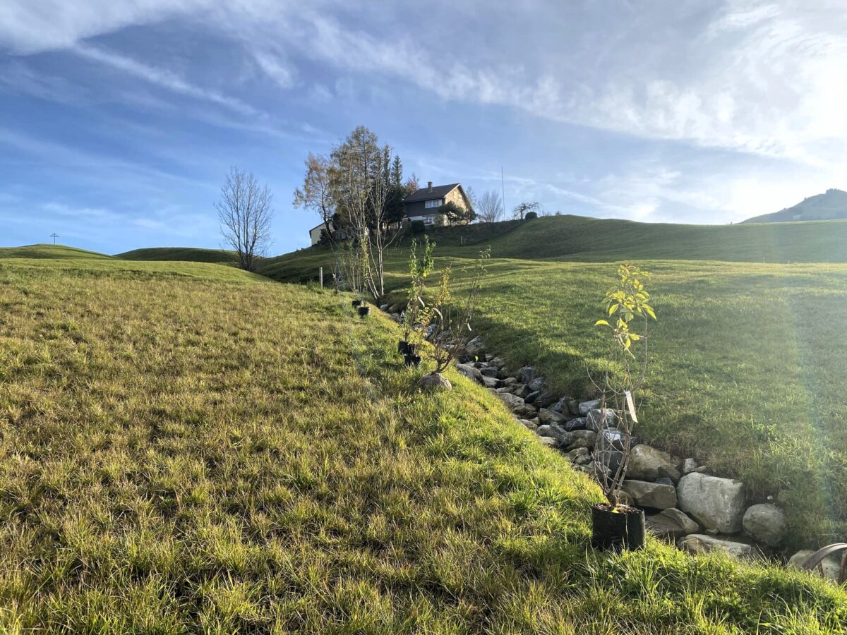 Gerinneanhebung