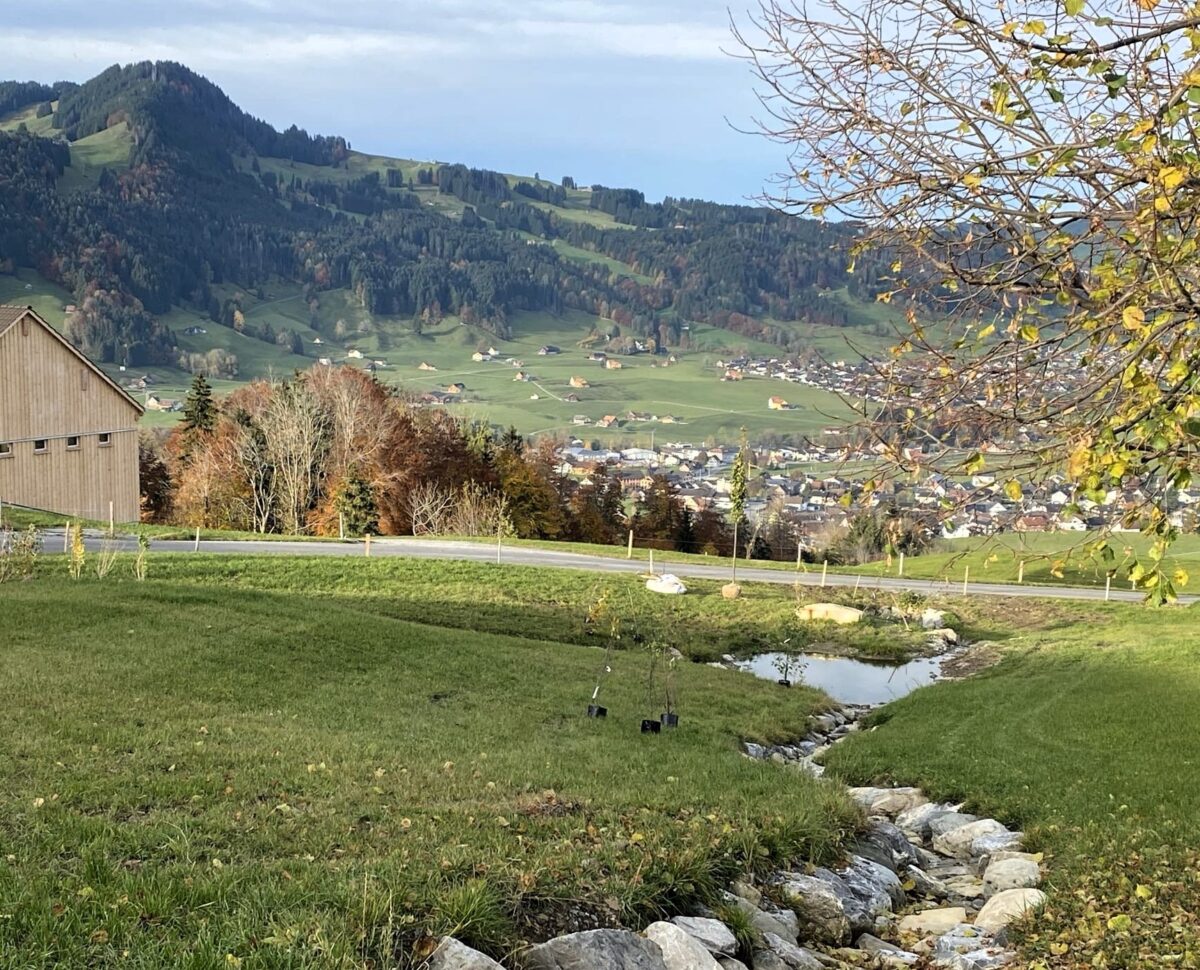 Gerinneanhebung